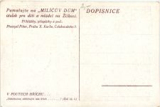 Künstler AK - Milicuv Dum