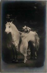 Frau mit Pferd