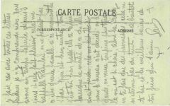 Saint-Die Vosges, Le vieux Tilleul datant du XVIII siecle