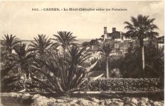 Cannes, Le Mont Chevallier entre les Palmiera