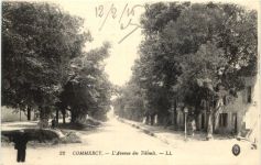 Commercy, LÀvenue des Tilleuls