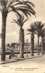 Cannes, Allee des Palmiers