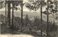 Remiremont, Vue prise de la Roche des Bruyeres