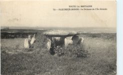 Pleumeur-Bodon, Le Dolmen de I`lle Grande