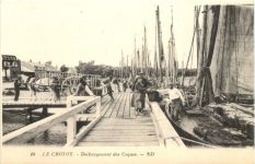 Le Crotoy, Dechargement des Coques