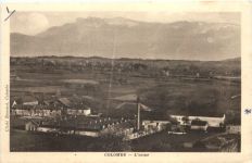 Colombe
