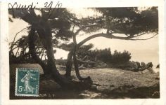 Cote d Azur