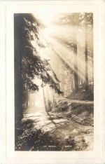 Les Vosges, St. Die