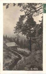 Les Vosges,
