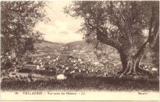 Vallauris