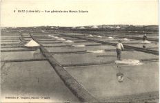 Batz - Marais Salants