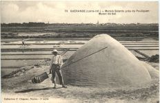 Guerande - Marais Salants