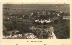 Burgau Schwaben - Das Storchennest