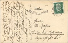 Vogel - Weisser Pfau