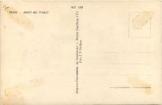 Texel - Kievit bij t Nest