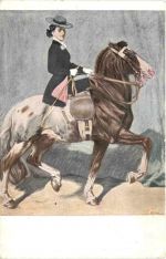 Pferd - Im Sattel