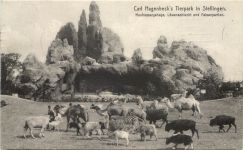Hamburg-Stellingen - Carl Hagenbecks Tierpark - Heufressergehege