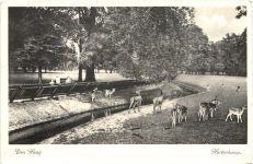 Den Haag - Hertenkamp