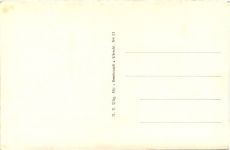 Den Haag - Hertenkamp