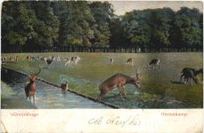 s. Gravenhage - Hertenkamp