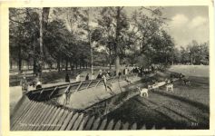 Den Haag - Hertenkamp