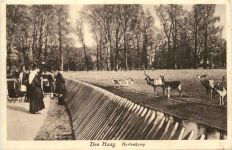 Den Haag - Hertenkamp