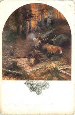 Hirsch