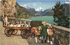 Flüelen - Hundekutsche