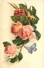 Schmetterlinge mit Rosen
