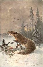 Fuchs in Falle