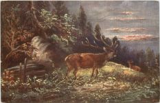 Hirsch