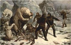Nordpol Expedition - Eisbär