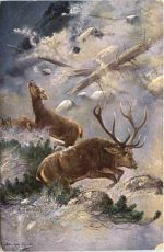 Hirsch