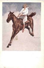 Pferd - Reitsport