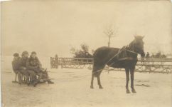 Pferd zieht Schlitten