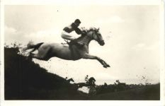 Velka pardubicka steeple chasse
