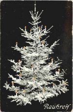 Limbach Sachsen - Weihnachten - Rauhreif
