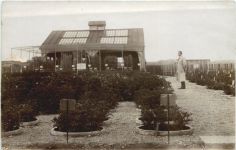 Phosphorsäure Versuche