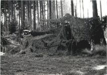 Bundeswehr