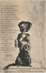Kufstein - Gruss aus der Weinstube Schicketanz - Hund
