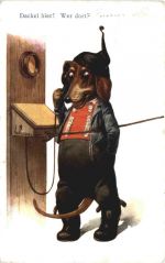 Hund in Kleidung - Dackel hier!