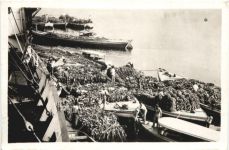 Santos - Transporte de bananas para Exportacao