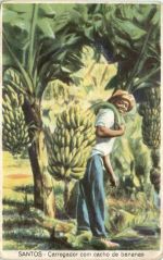 Brazil - Santos - Carregador com cacho de bananas