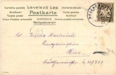 Künstler AK Catherina Klein