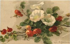 Künstler AK Catherina Klein