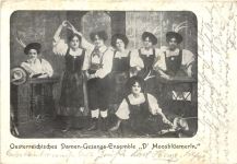 Oesterreichisches Damen Gesangs Ensemble D Mooslüamerln