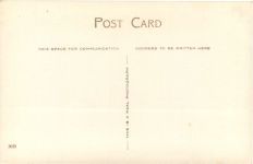 Branksome Dene chine