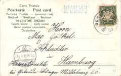 Pfingsten - Zwerg