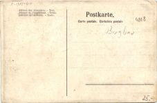 Wittenbach Rettung eines Arbeiters aus dem Bruggwaldtunnel 1909