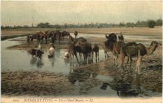 Vue a l oued Bayech
